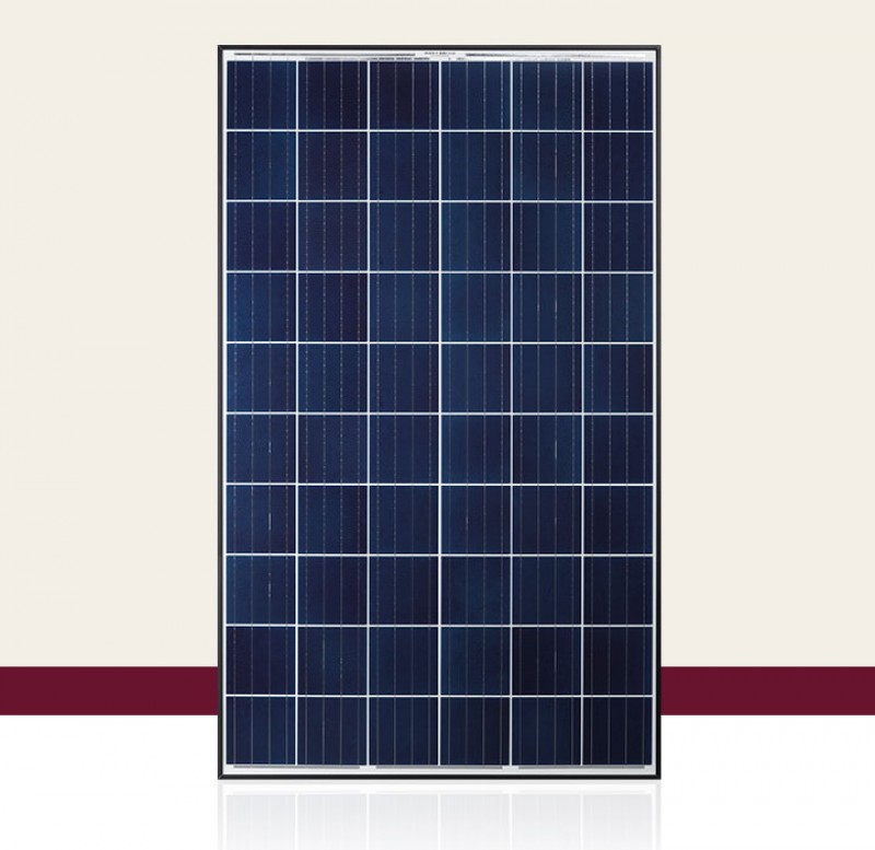 Tấm pin năng lượng mặt trời Q - cells Q.LUS L4.2-340W